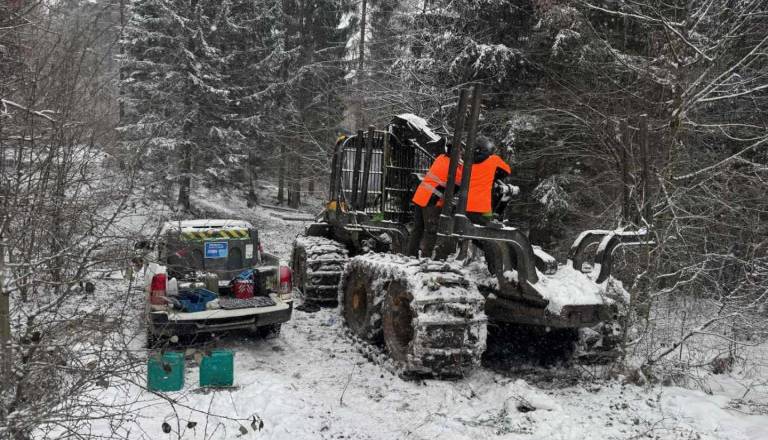 Novo leto, stare preizkušnje: pomoč v kočevskih gozdovih že prvi delovni dan