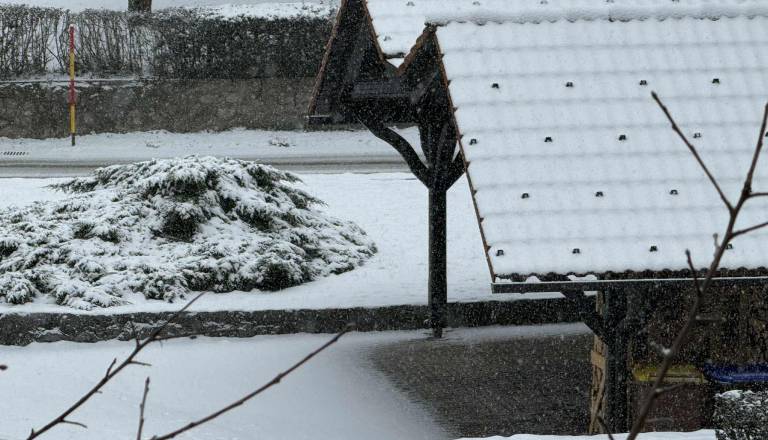 Sneženje zajelo Dolenjsko, jutri bo mraz še hujši