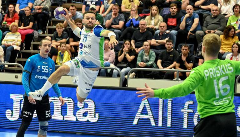 V slovensko reprezentanco vpoklican tudi dolenjski rokometaš