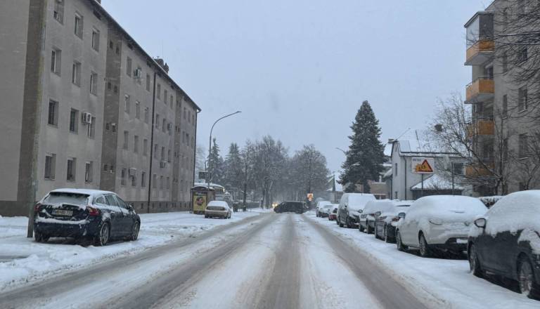 Do jutra še obilno sneženje, ponekod bo zapadlo še do 20 centimetrov snega