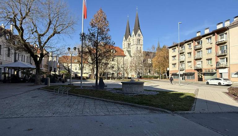 Kočevje napoveduje posebno tematsko leto, kaj bo v ospredju tokrat?
