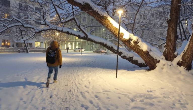 Do jutra še obilno sneženje, ponekod bo zapadlo še do 20 centimetrov snega