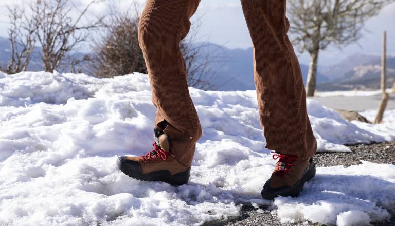Skupaj v gibanju že peto leto