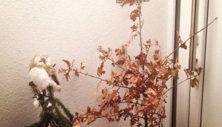 Pravoslavni verniki danes praznujejo božič