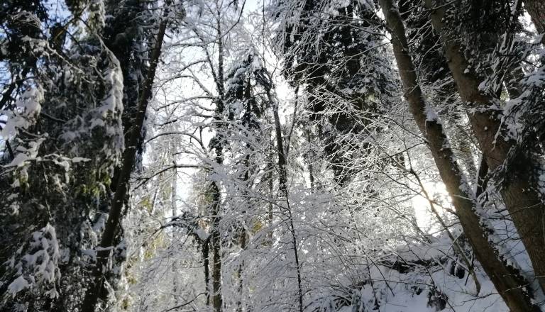 Smrt pri Rušah, 41-letniku ni bilo pomoči