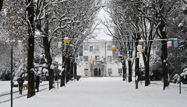 FOTO:  Zimska idila v Murski Soboti, mesto prekrila snežna odeja