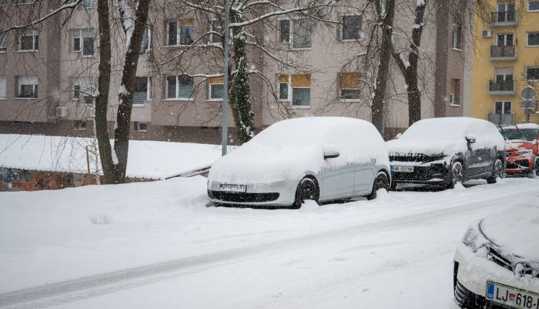 Debela snežna odeja tudi na Ptuju. Kje je zapadlo največ in kje najmanj?