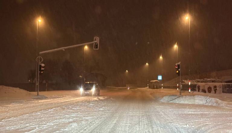 Jugovzhod Slovenije deležen največje pošiljke snega