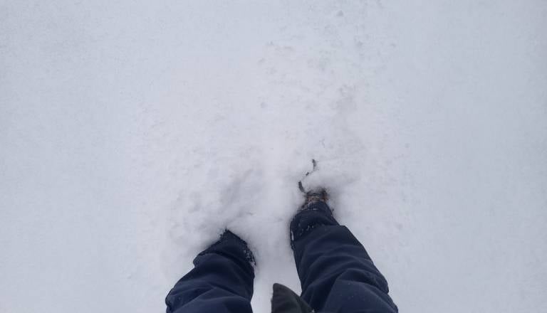 Na Dolenjskem debela snežna odeja. Kje je zapadlo največ?