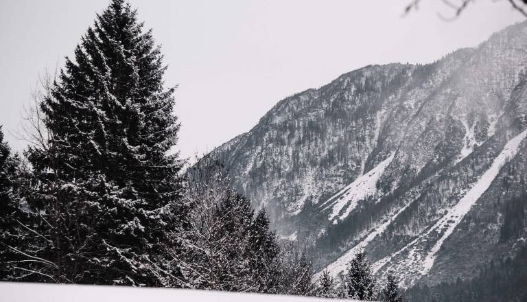 Naša družina spletnih medijev ima novega člana: Gorenjskainfo!