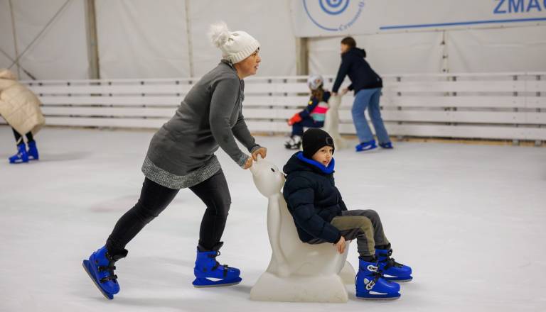 V Črnomlju že zaključili z drsanjem, kaj sporočajo za prihodnjo zimo?