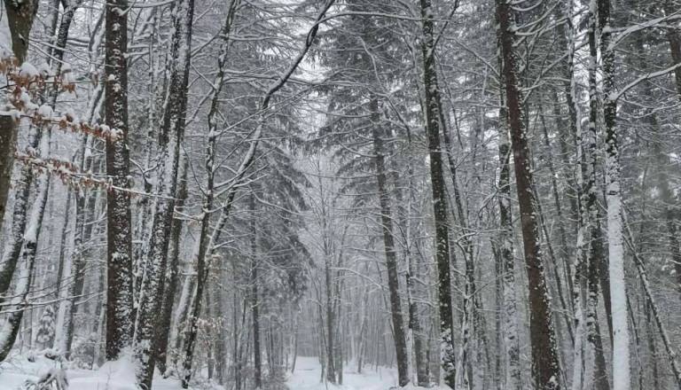 Ekstremno mrzlo jutro po Sloveniji. Kako hudo je bilo na jugovzhodu države?