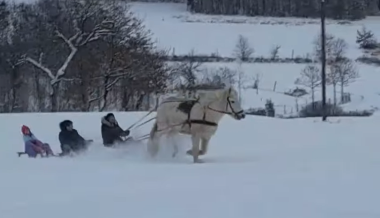 VIDEO: Na Goričkem zimsko idili izkoristili na zanimiv način