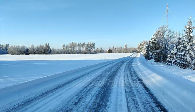 V trgovinah na Ptuju povsem zmanjkalo soli za posip. Kdaj bo spet na zalogi?