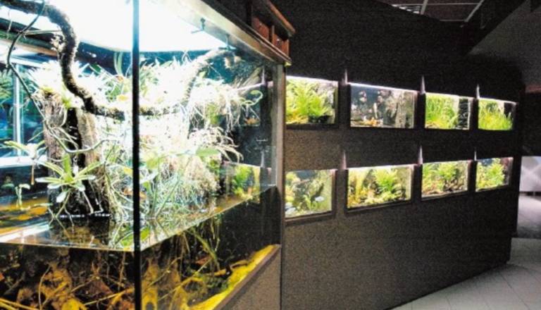 Mariborski Akvarij-terarij po obnovitvenih delih znova odprt v celoti