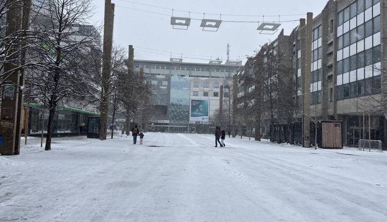 Strokovnjaki opozarjajo: Ne podcenjujte mraza, doma imejte zalogo hrane in zdravil