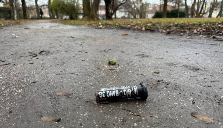 Zaskrbljena bralka o grozljivi noči zaradi pirotehnike: »Sinočnja noč ni bila grozljiva samo za naš dom«