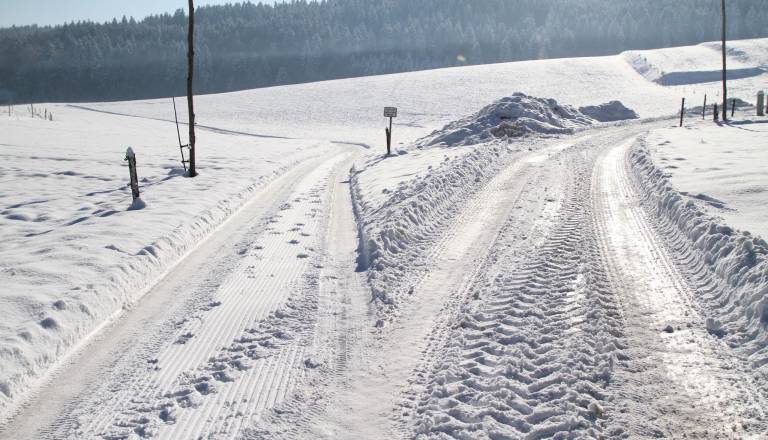 Foto: Mladinsko društvo Ponikve