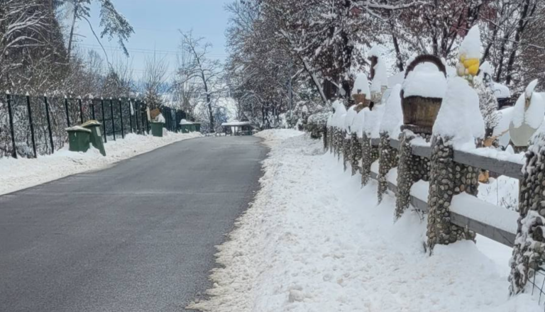 Foto: posnetek zaslona