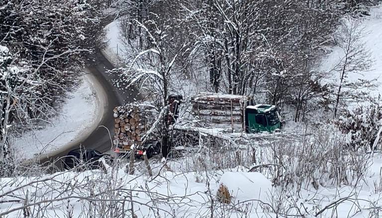 Tovornjak s hlodi zdrsnil s ceste v Novem mestu 