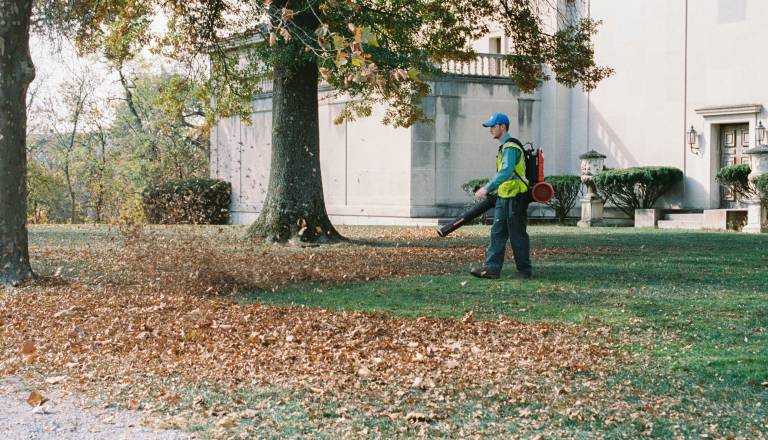 Puhalniki listja v Šentvidu razburjajo prebivalce: »Zaščitimo ježe«