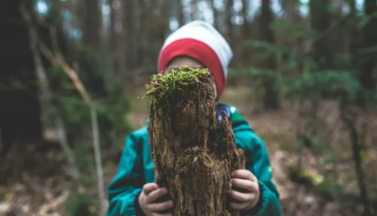 Med jesenskimi počitnicami na Pohorje, odprte so prijave za priljubljeni tabor