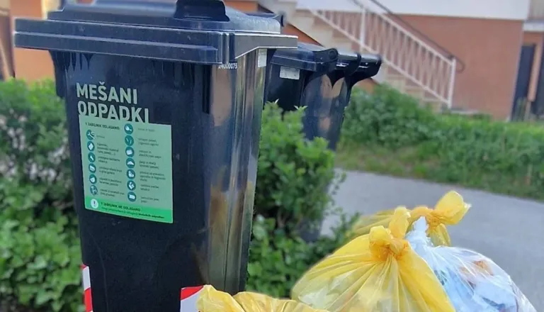 Vedno pozabite, kdaj odpeljejo smeti? Rešitev je zdaj na voljo tudi Dolenjcem