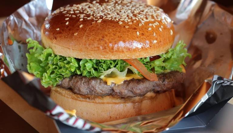 GLASUJTE: Kje na Dolenjskem je naj burger?