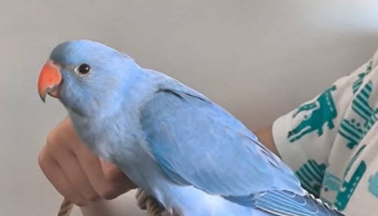 »Usoda je tudi nam spisala srečen konec«: V Mariboru veliko veselje zaradi Čarlija