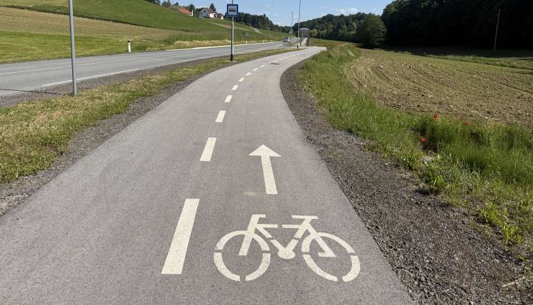 Kdaj bo zgrajena kolesarska pot od Ptuja proti Grajeni? Občina razkriva, kako daleč so načrti