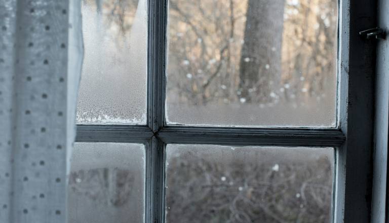 Kapljice na oknih so opozorilo: preveč vlage v stanovanju vodi do plesni, ki škoduje zdravju