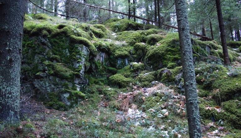 Tragedija v gozdu: Moškega zadela večja skala, zdravnik potrdil smrt