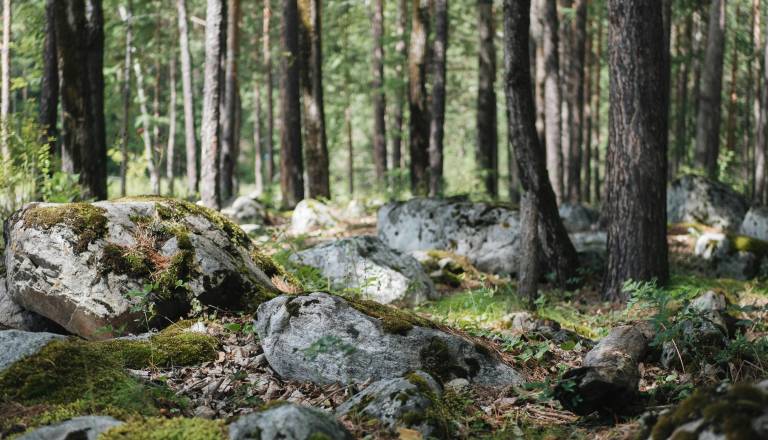 Skala zadela moškega, kljub oživljanju je umrl
