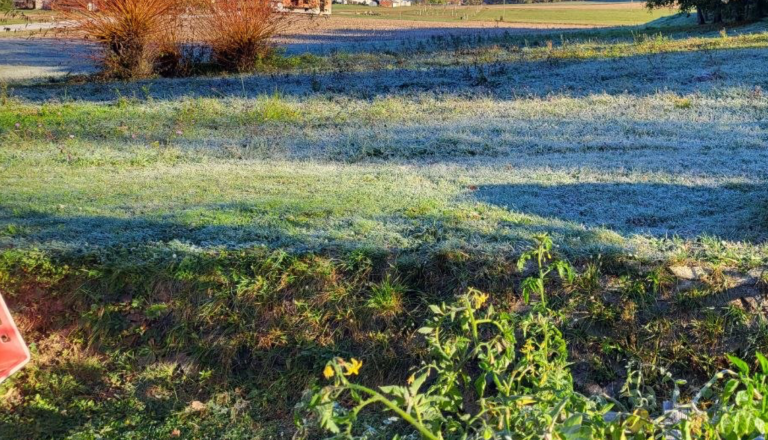 Oktobrski mraz pokazal zobe, temperaturej padle pod ledišče