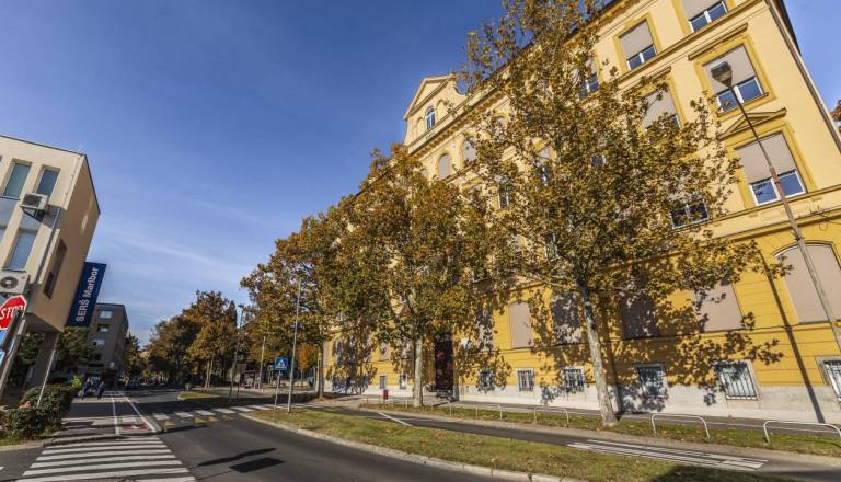 Mariborska gimnazija najbolj športna šola: »Rezultat truda, zavzetosti in športnega duha naših dijakinj in dijakov«