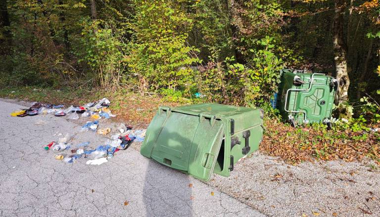 Zaskrbljena krajanka opozarja na težave, ki jih za seboj pušča medved