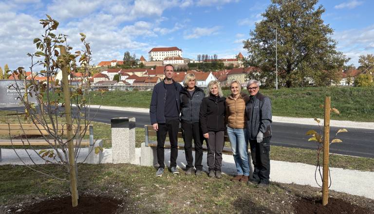 FOTO in VIDEO: Tako je po novem videti območje ob Dravi, zasadili 15 magnolij