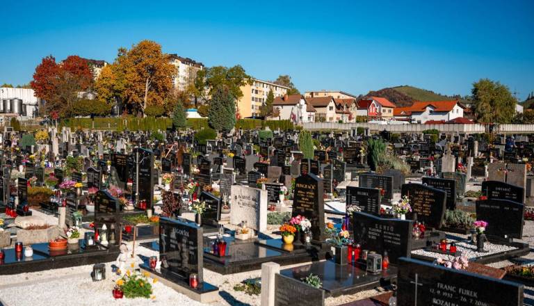 Praznični konec tedna v Mariboru: Brezplačni avtobusi, daljši obisk pokopališč in spremenjeni urniki