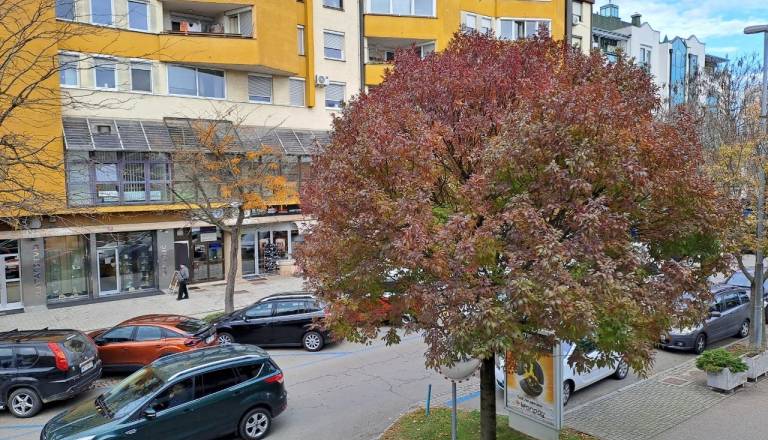 Pred dvodnevnim zaprtjem trgovin naval na nakupe, Murska Sobota že v zastojih