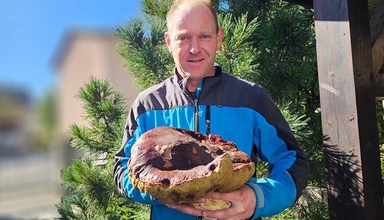 Gozdni velikan presenetil Gorenjca: Tehtal je več kot dva kilograma