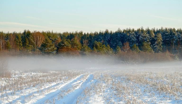 Svet se pripravlja na izjemno močan El Niño. Kaj nas čaka v prihodnjih mesecih?El Niño se krepi, strokovnjaki opozarjajo na ekstremne vremenske razmere
