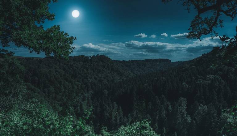 Ste pripravljeni? Magična snežna luna prinaša nepričakovana razkritja