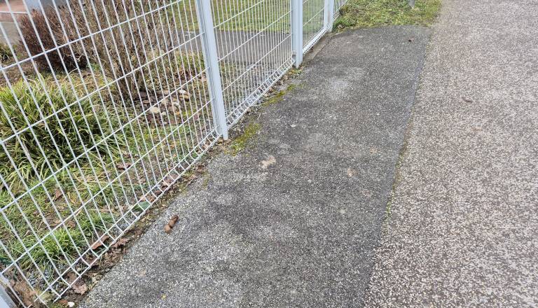 Težave s pasjimi iztrebki, celo pred vhodnimi vrati, tudi na Kopitarjevi ulici