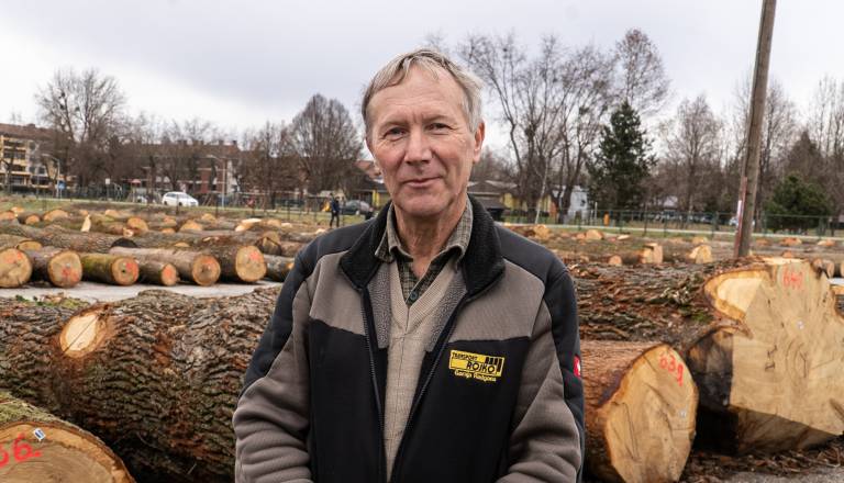 FOTO: V Gornji Radgoni kar 1632 hlodov na letošnji dražbi