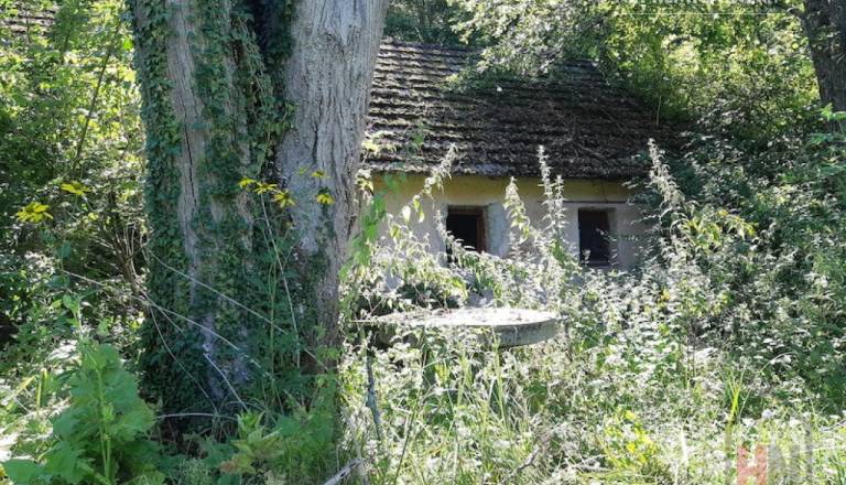 Za četrt milijona se prodaja počitniški objekt z več kot 24 tisoč kvadratnimi metri zemljišča