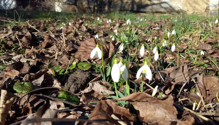 Bodo kurenti uspešno pregnali zimo? Meteorologi napovedujejo spremembo vremena