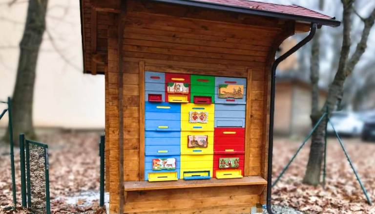 Čebelarsko društvo iz Kamnice sodeluje v izboru za Naj učni čebelnjak: »To ni nagrada za vitrino, ampak konkretna pomoč za delo z otroki« 