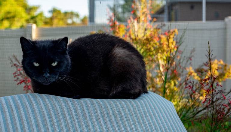 Je petek, 13., res nesrečen?