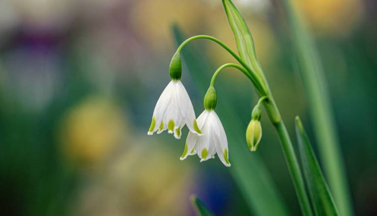 Meteorologi napovedujejo spremembo vremena, kaj nas čaka za pust in valentinovo?