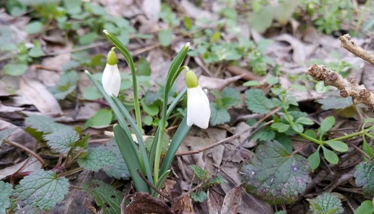 Bodo kurenti uspešni? Meteorologi napovedujejo spremembo vremena